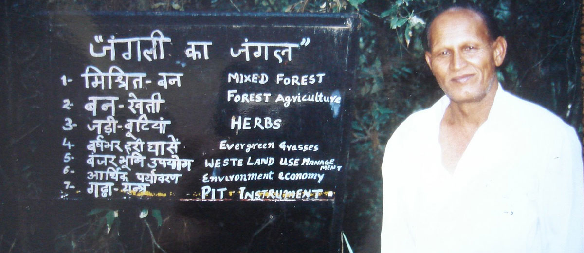 एक मिसाल है उत्तराखंड के जगत सिंह चौधरी 'जंगली' का जंगल : विश्व वन दिवस विशेष