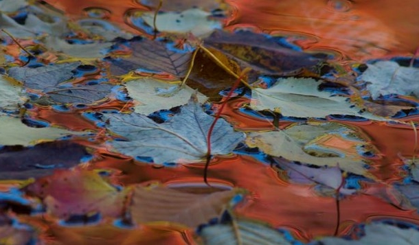 सूरज की मिस्ड काल – 4