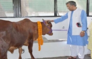 उत्तराखंड विधानसभा : गाय को राष्ट्रमाता घोषित किए जाने का संकल्प पारित