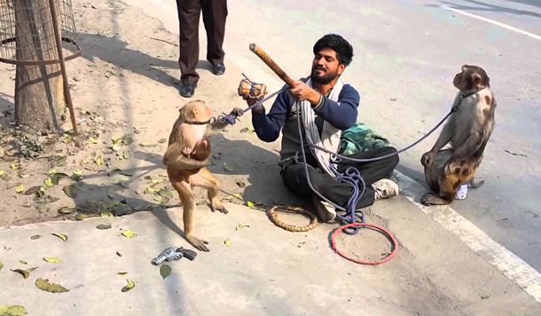 हमें शीशी भी नहीं चाहिए, हम अपनी शीशी साथ ले कर आए हैं