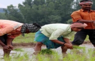 क्या हैं स्वामीनाथन आयोग की सिफारिशें, जिन्हें लागू कराना चाहते हैं किसान