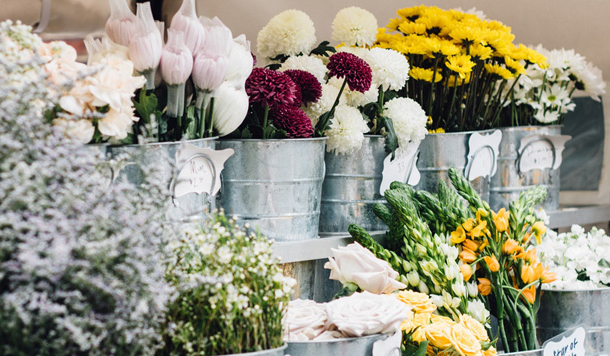 रंग उसे बीजगणित की जटिल वीथियों में ले जाते थे