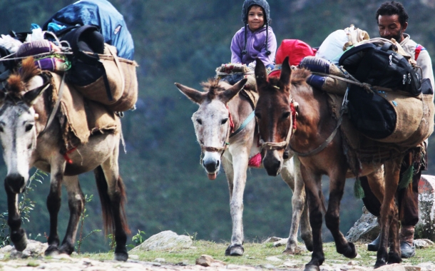 सफ़रनामा: अतीत के रास्ते