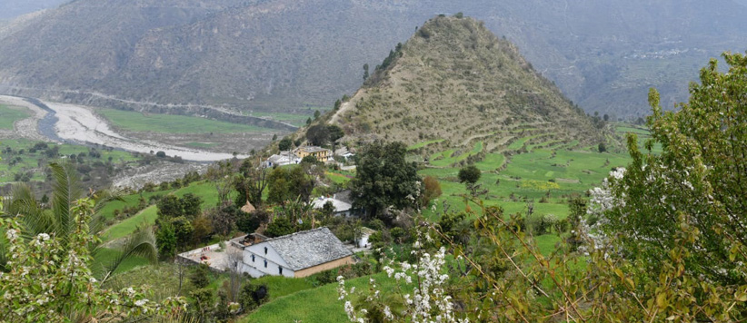 बेतालघाट की घाटी का वसंत - जयमित्र सिंह बिष्ट के फोटो