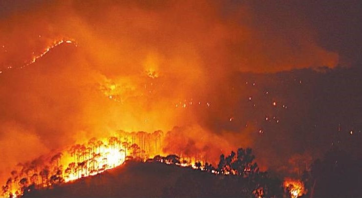 Fire in the Forests of Uttarakhand