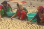 पहाड़ के मडुवे-दालों को देश भर के बाजारों में पहुंचाया है हल्द्वानी की किरण जोशी ने