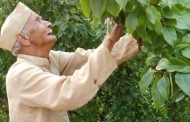 86 साल की उम्र में बागवानी से स्वरोजगार का मॉडल खड़ा कर कायम की मिसाल
