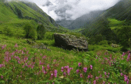 फूलों की घाटी: दुनिया की सबसे खूबसूरत जगहों में एक