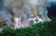 अमेजन की आग दुनिया का दम घोंट देगी