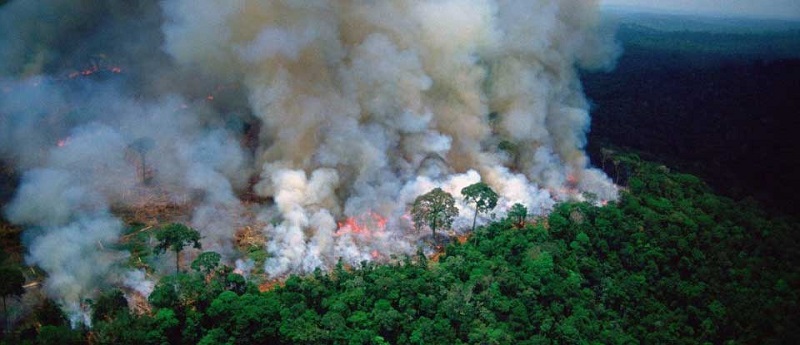 अमेजन की आग दुनिया का दम घोंट देगी