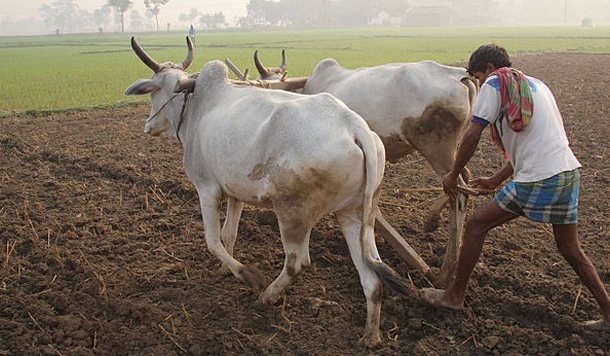 कितना आसान है हत्या को आत्महत्या कहना