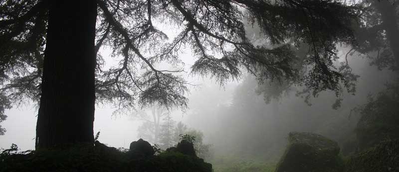 कुमाऊँ के बियावान जंगलों में रहने वाले कठपतिया का किस्सा