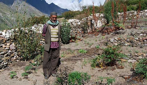 भट के डुबके हों या गडेरी की सब्जी गंदरायणी के बिना सारे अधूरे