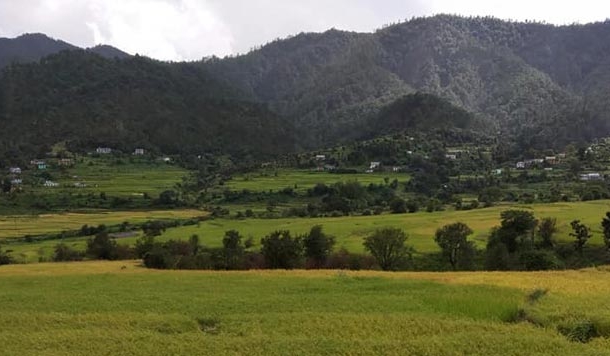 एशिया की सुन्दरतम घाटी है सोमेश्वर घाटी