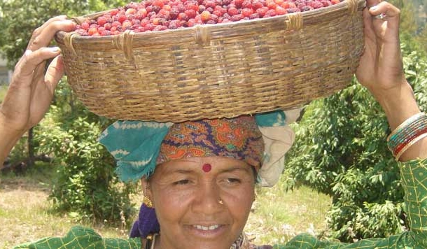 कोरोना महामारी के बीच बुलंद हौसलों की मिसाल बनी उत्तराखंड की महिलायें