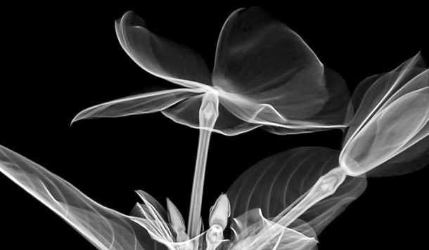 जीवन में पारदर्शिता ले जाएगी तनावों से पार