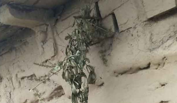 सावन के महीने देवता कैलाश में जुआ या अन्य बाजियां लगाते हैं : सीमांत की अनूठी मान्यता