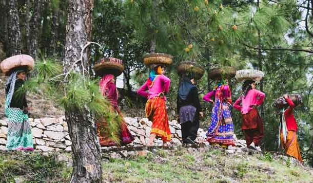 समाज में पर्यावरण के प्रति महिलाओं का दृष्टिकोण