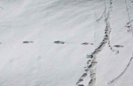 उत्तराखंड में हिम मानव 'येति' के निशान