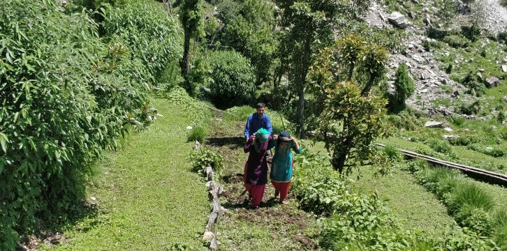 Namik Village Uttarakhand Travelogue