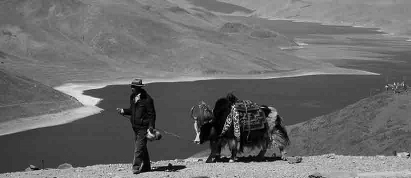 तिब्बत में प्रवेश : राहुल सांकृत्यायन का यात्रा वृतांत
