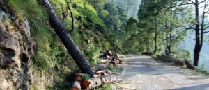 Exploitation of Himalaya