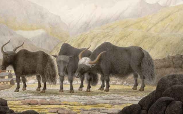 बद्रीनाथ की 200 साल पुरानी तस्वीर