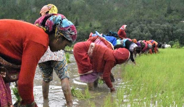 समझना मुश्किल है पहाड़ की औरत के एक दिन का हिसाब-किताब : विश्व महिला दिवस