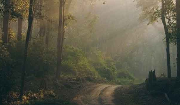 बेमौत ज़मींदोज़ हुए लोगों की भटकती आत्माएं ट्वाल के रूप में दिखती हैं