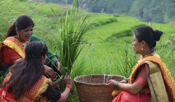 सातों-आठों में कही जाने वाली लोककथा