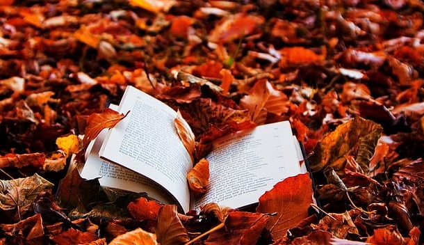 लेखन यात्रा के बहाने