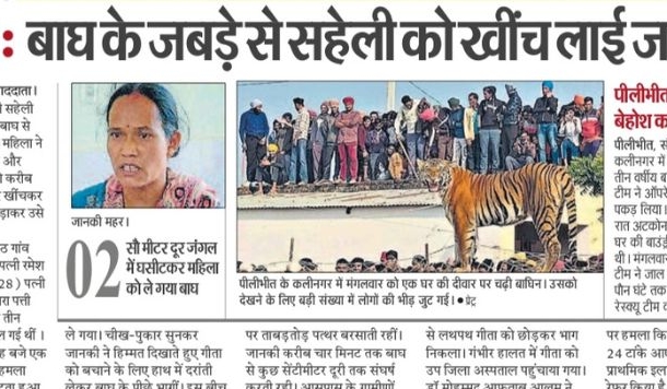 साहस की मिसाल बनी उत्तराखंड की दो घस्यारी