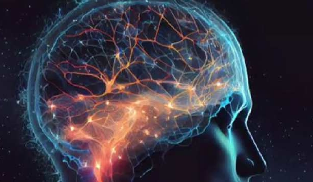 अगर ग्रो करना है तो ग्रोथ माइंडसेट बनाओ