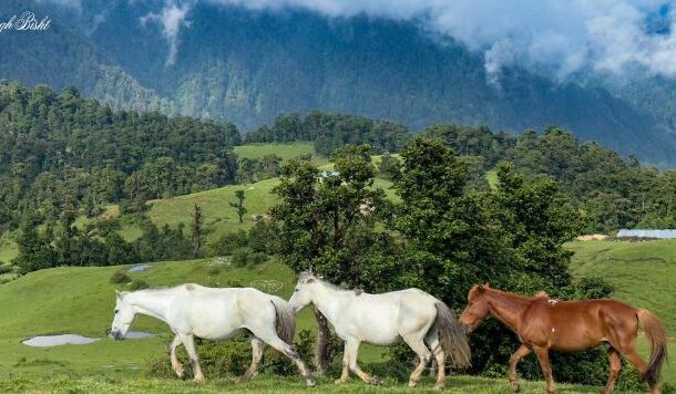 पंवाली कांठा का सुकून : फोटो निबंध