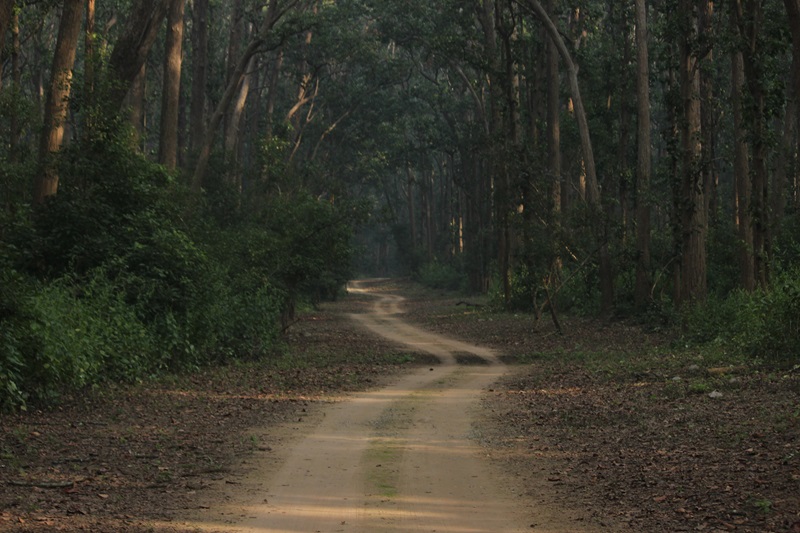 History Jim Corbett Park