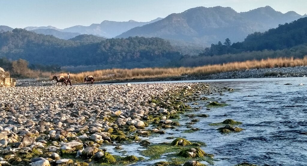 Story Kosi River 'Kaushiki'