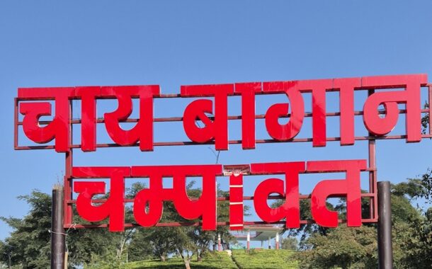 हरियाली के पर्याय चाय बागान