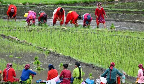 राज्य की संस्कृति के ध्वजवाहक के रूप में महिलाओं का योगदान