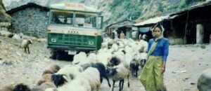 Economic History of uttarakhand