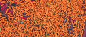 Lakhori Mirch Almora