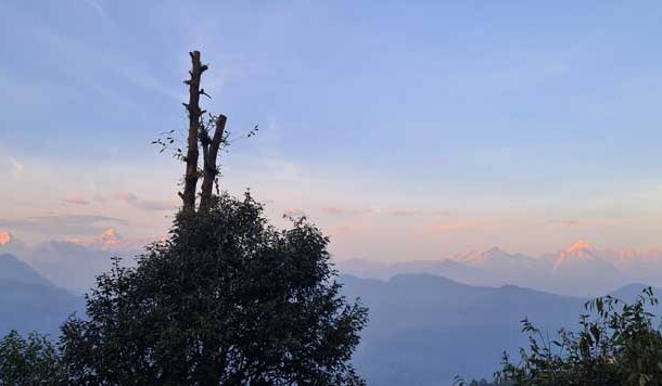 बर्फ ही नहीं हरियाली भी गायब हो रही है हिमालयी इलाकों से