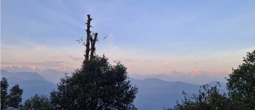 बर्फ ही नहीं हरियाली भी गायब हो रही है हिमालयी इलाकों से