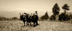 Uttarakhand administrative history