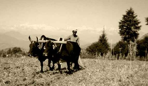 हिमालय को समझे बिना उसे शासित नहीं किया जा सकता