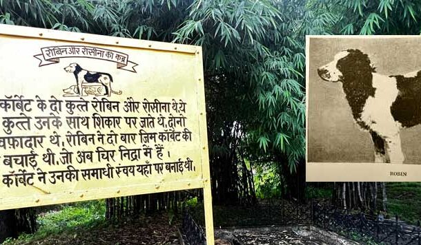 जिम कॉर्बेट और उनका जांबाज साथी 'रॉबिन'