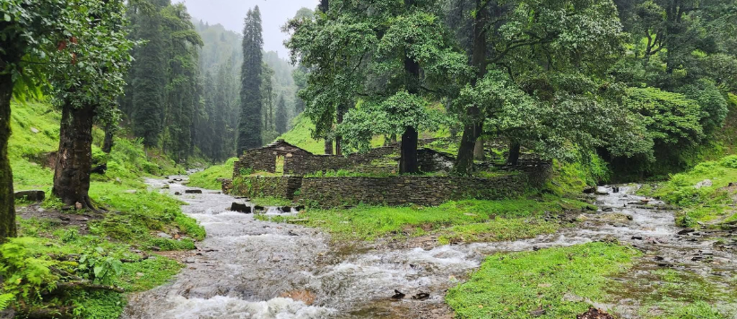 न रुकदि छै, न थकदि छै, नयार जन बगदि छै : संकट में है नयार 