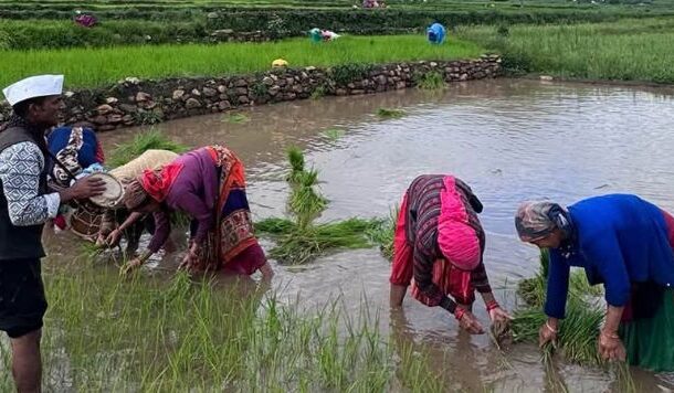 हरेला: प्रकृति, परंपरा और विज्ञान का अद्भुत संगम