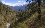 रिंगाल आधारित शिल्प : उत्तराखण्ड का एक परम्परागत कुटीर उद्योग