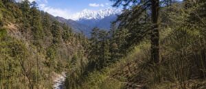 ringal craft in uttarakhand
