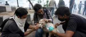 tear gas history in india hindi